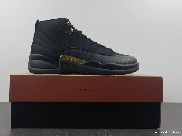 Reps LUCY Air Jordan 12 CT8013-071 Taxi Black 0517